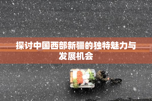 探讨中国西部新疆的独特魅力与发展机会