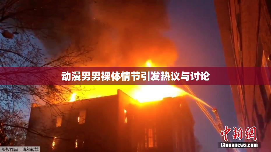 动漫男男裸体情节引发热议与讨论