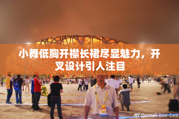 小舞低胸开襟长裙尽显魅力，开叉设计引人注目