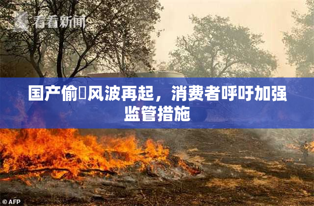 国产偷抇风波再起，消费者呼吁加强监管措施