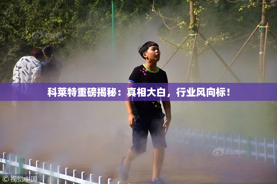 科莱特重磅揭秘：真相大白，行业风向标！