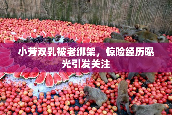 小芳双乳被老绑架，惊险经历曝光引发关注