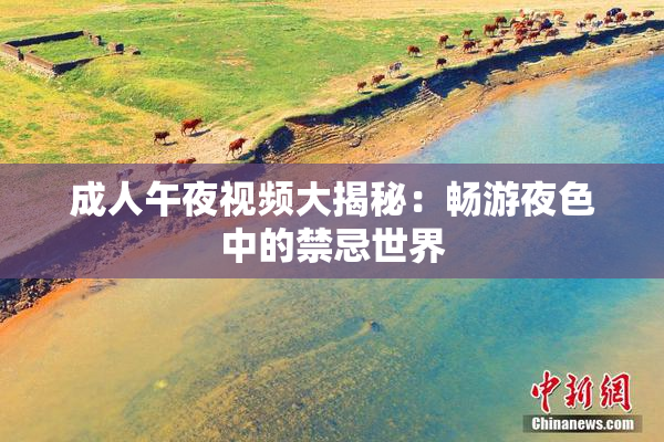 成人午夜视频大揭秘：畅游夜色中的禁忌世界