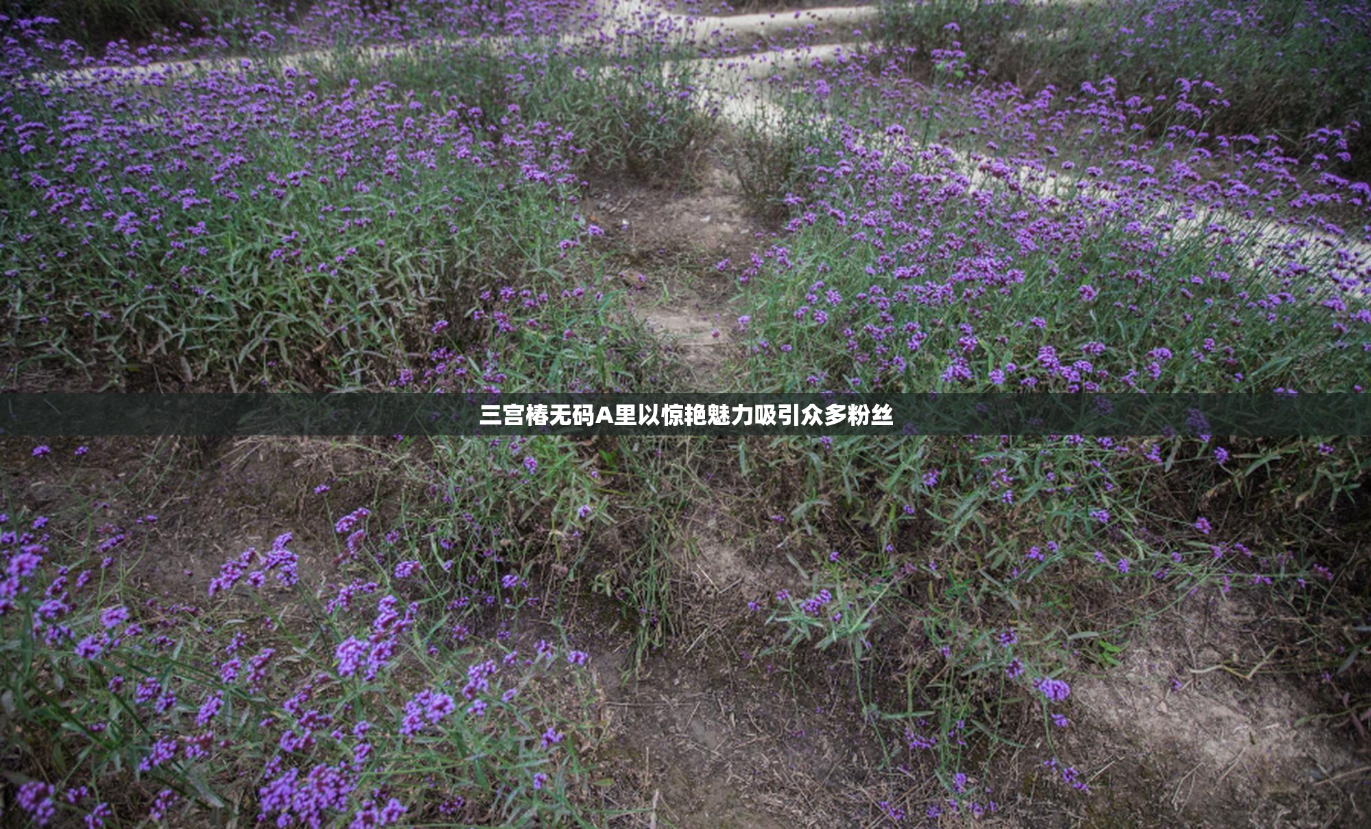 三宫椿无码A里以惊艳魅力吸引众多粉丝