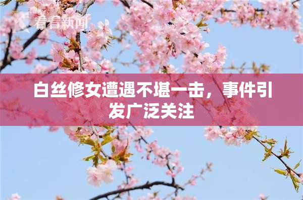 白丝修女遭遇不堪一击，事件引发广泛关注