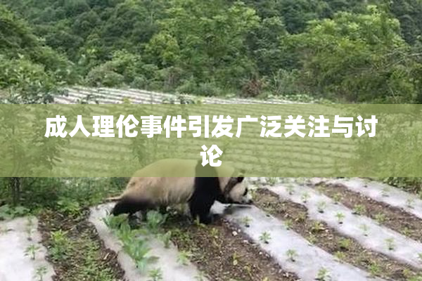 成人理伦事件引发广泛关注与讨论