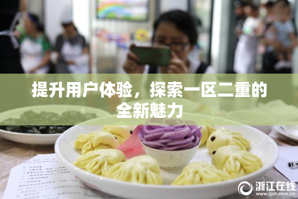 提升用户体验，探索一区二重的全新魅力
