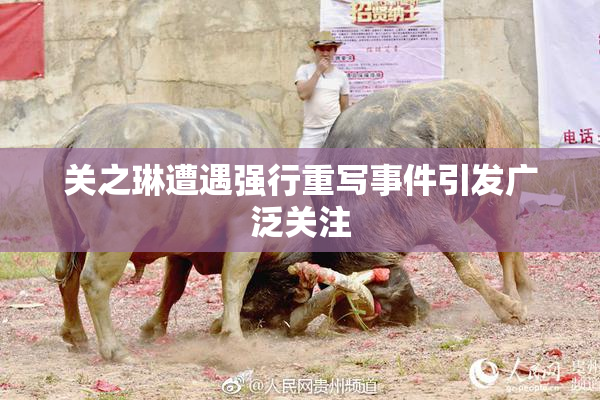 关之琳遭遇强行重写事件引发广泛关注