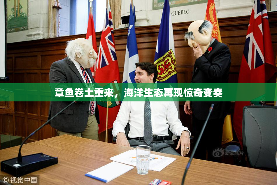 章鱼卷土重来，海洋生态再现惊奇变奏