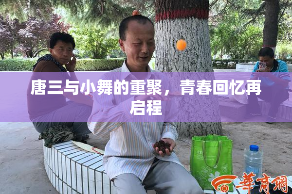 唐三与小舞的重聚，青春回忆再启程
