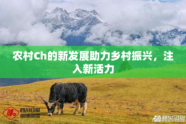 农村Ch的新发展助力乡村振兴，注入新活力