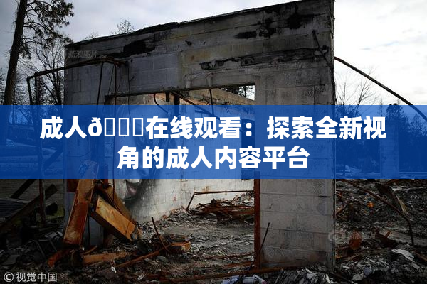 成人🔞在线观看：探索全新视角的成人内容平台