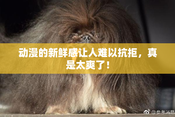 动漫的新鲜感让人难以抗拒，真是太爽了！