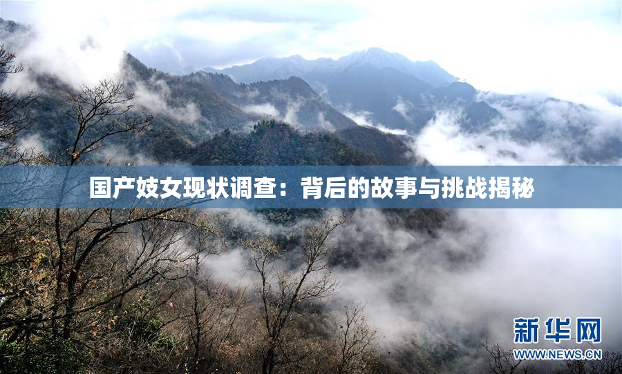 国产妓女现状调查：背后的故事与挑战揭秘