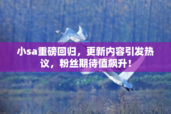 小sa重磅回归，更新内容引发热议，粉丝期待值飙升！