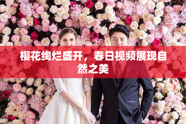 樱花绚烂盛开，春日视频展现自然之美