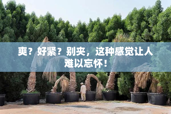爽？好紧？别夹，这种感觉让人难以忘怀！
