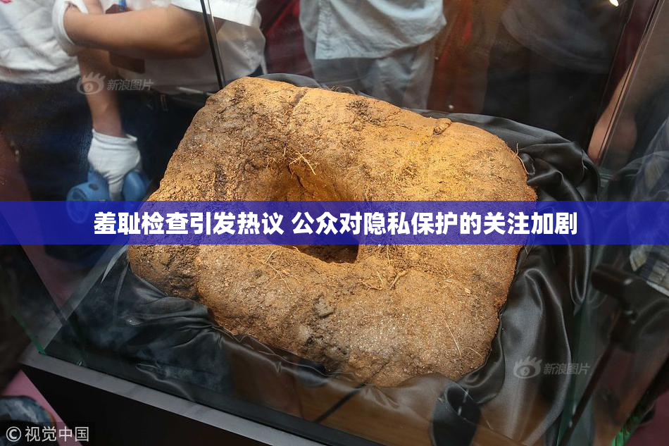 羞耻检查引发热议 公众对隐私保护的关注加剧