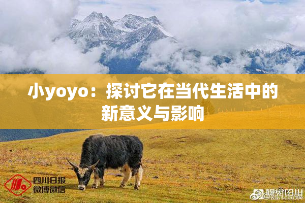 小yoyo：探讨它在当代生活中的新意义与影响