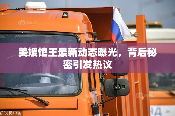 美媛馆王最新动态曝光，背后秘密引发热议