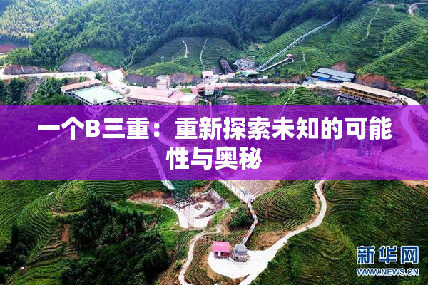 一个B三重：重新探索未知的可能性与奥秘