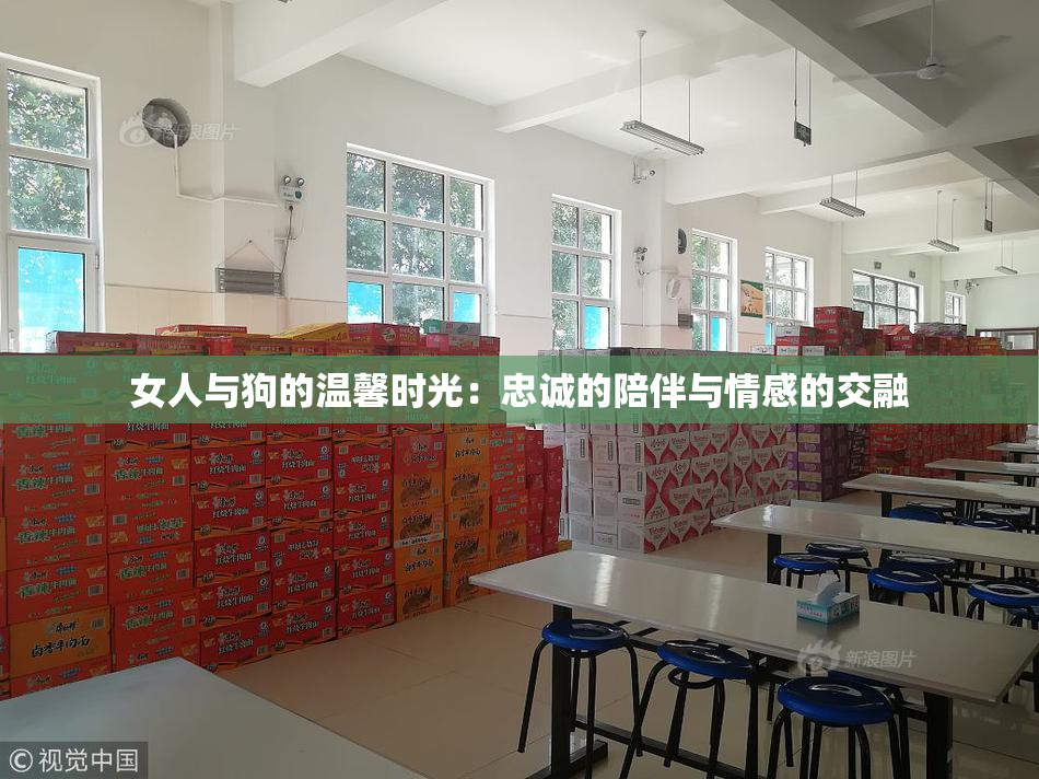 女人与狗的温馨时光：忠诚的陪伴与情感的交融