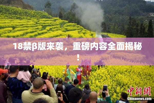 18禁β版来袭，重磅内容全面揭秘！
