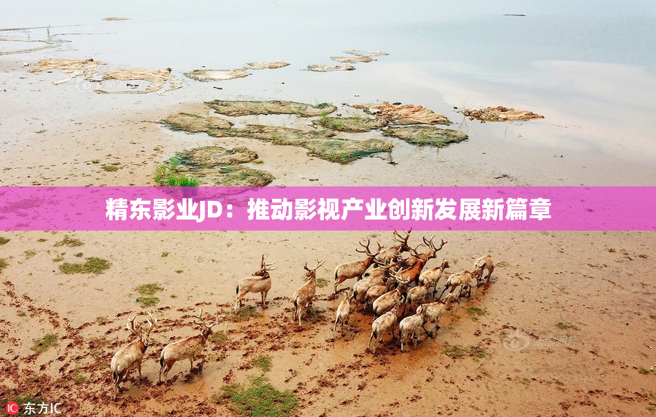 精东影业JD：推动影视产业创新发展新篇章