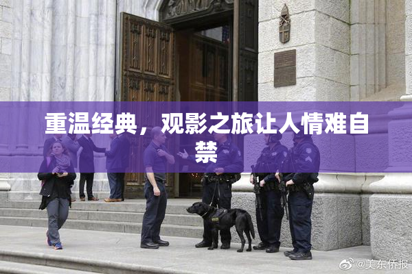 重温经典，观影之旅让人情难自禁