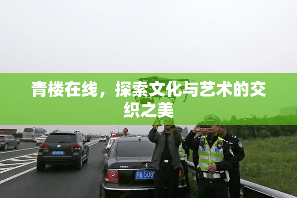 青楼在线，探索文化与艺术的交织之美