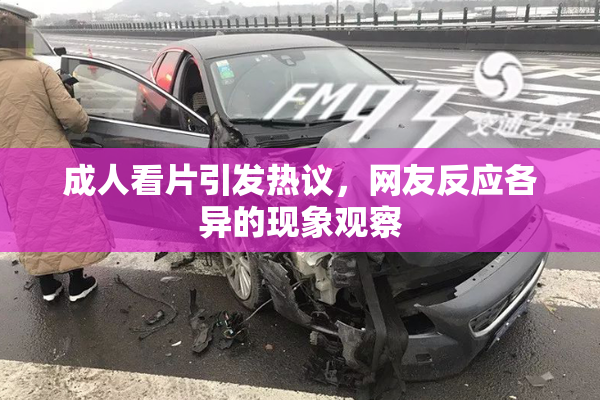成人看片引发热议，网友反应各异的现象观察