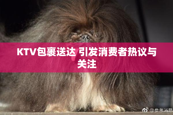KTV包裹送达 引发消费者热议与关注