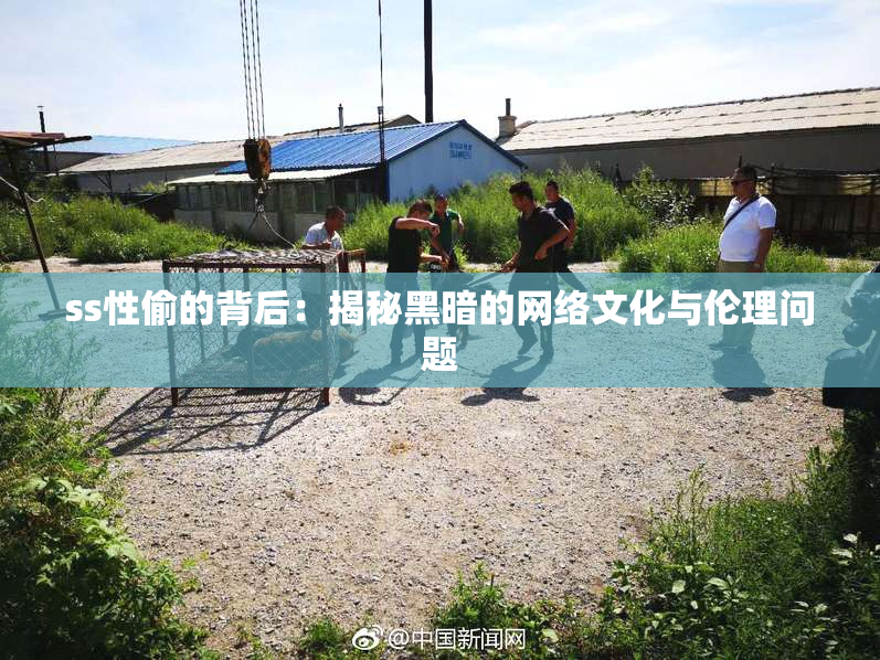ss性偷的背后：揭秘黑暗的网络文化与伦理问题