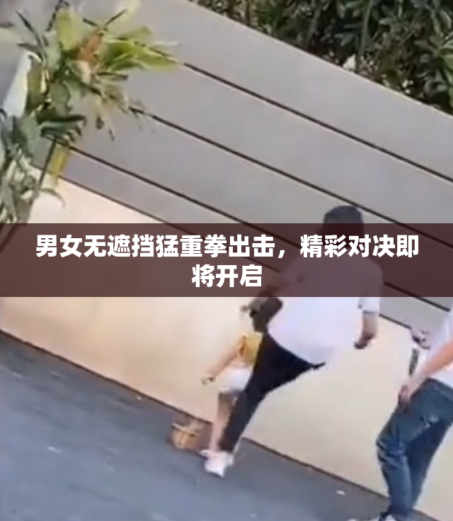 男女无遮挡猛重拳出击，精彩对决即将开启