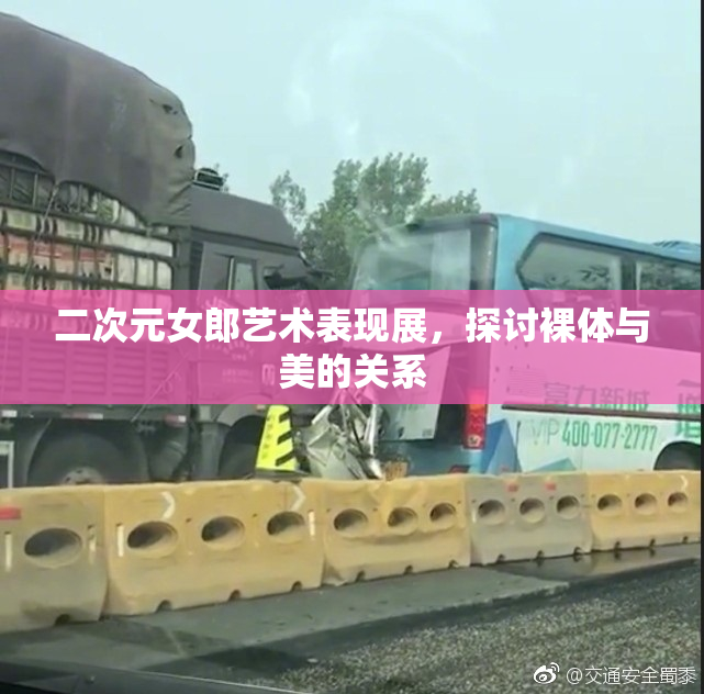 二次元女郎艺术表现展，探讨裸体与美的关系