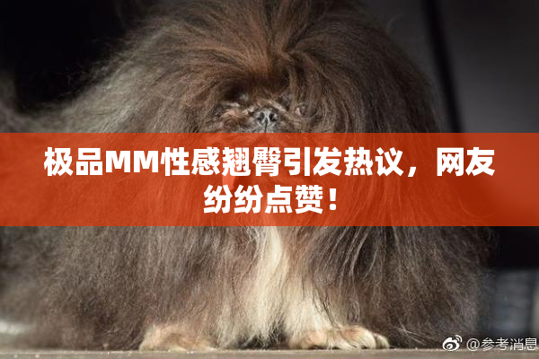 极品MM性感翘臀引发热议，网友纷纷点赞！