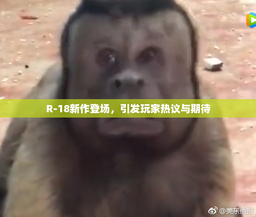 R-18新作登场，引发玩家热议与期待