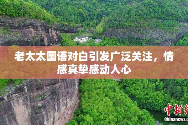 老太太国语对白引发广泛关注，情感真挚感动人心