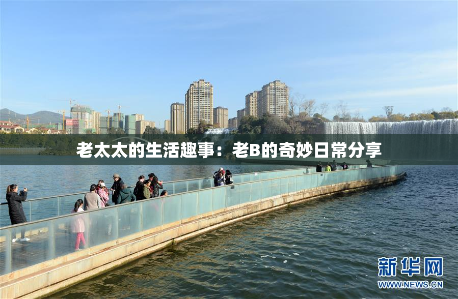 老太太的生活趣事：老B的奇妙日常分享