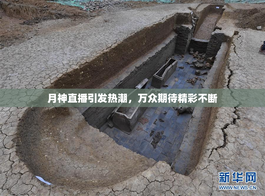 月神直播引发热潮，万众期待精彩不断