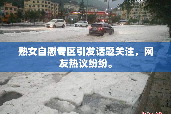 熟女自慰专区引发话题关注，网友热议纷纷。