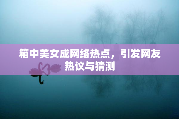箱中美女成网络热点，引发网友热议与猜测