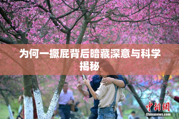 为何一撅屁背后暗藏深意与科学揭秘