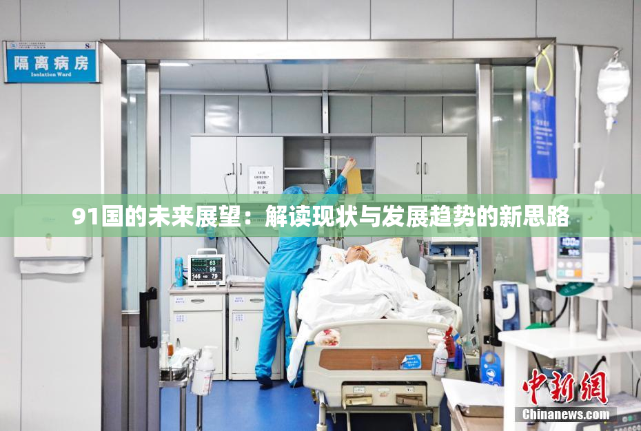 91国的未来展望：解读现状与发展趋势的新思路