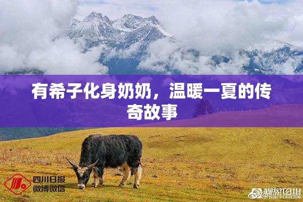 有希子化身奶奶，温暖一夏的传奇故事