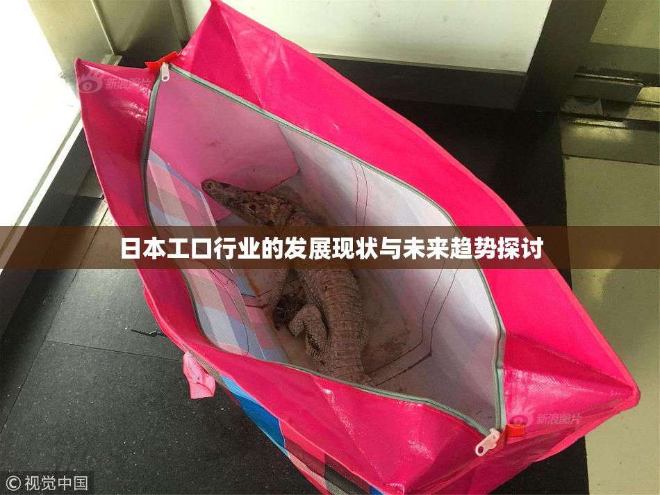 日本工口行业的发展现状与未来趋势探讨