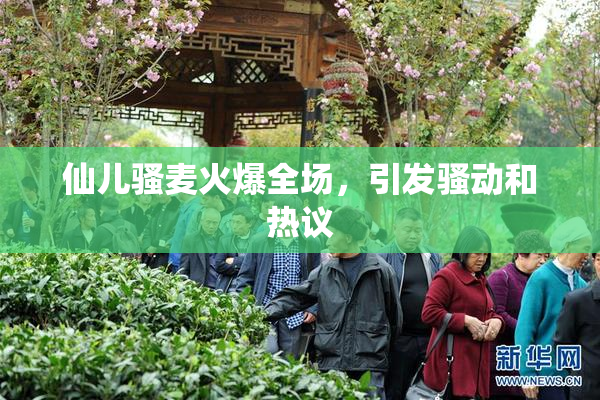 仙儿骚麦火爆全场，引发骚动和热议