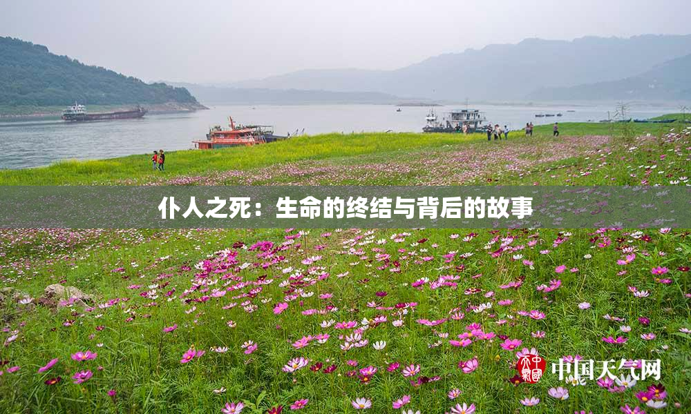 仆人之死：生命的终结与背后的故事