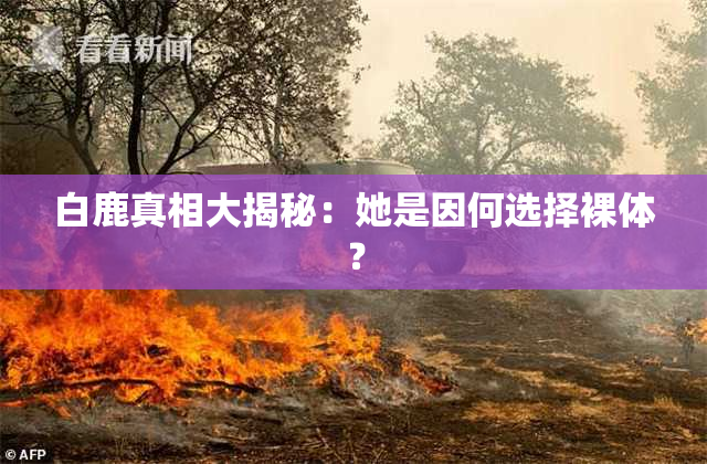白鹿真相大揭秘：她是因何选择裸体？