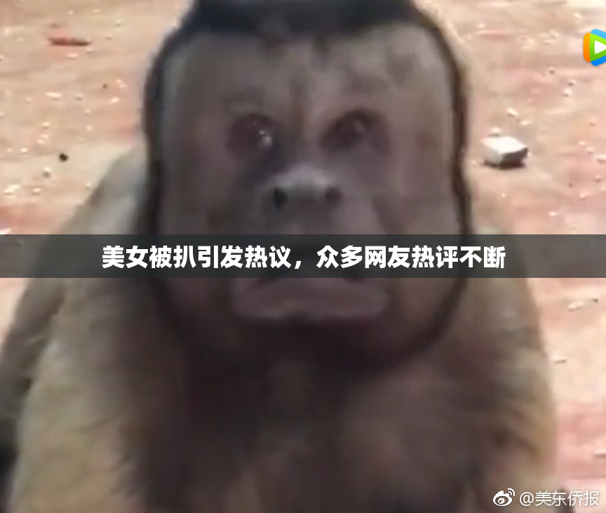 美女被扒引发热议，众多网友热评不断